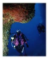 Foto 1 diving alghero, ADVENTURE & DIVING